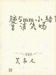 肺5mm小结节会消失吗