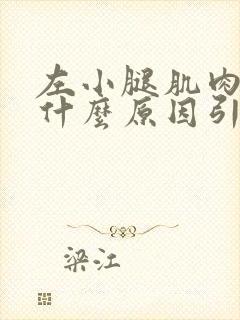 左小腿肌肉酸痛什么原因引起的