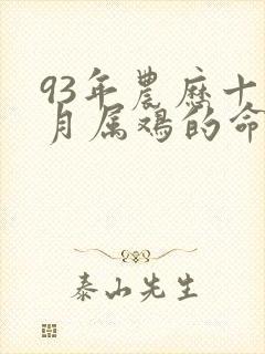 93年农历十一月属鸡的命运封面
