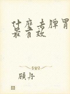 什么去脾胃湿气最有效