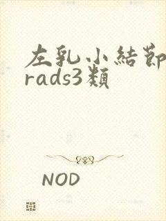 左乳小结节birads3类