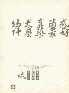 幼犬真菌感染用什么药最好