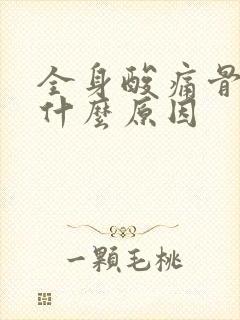 全身酸痛骨头痛什么原因