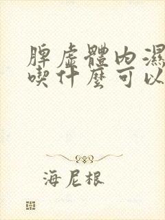 脾虚体内湿气重吃什么可以调理