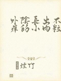 外阴长出不疼不痒的小肉粒