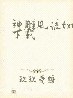 神雕风流txt下载