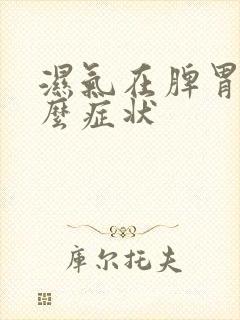 湿气在脾胃有什么症状