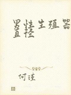 男性生殖器勃起直径