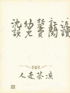 沈幼楚许流年小说免费阅读最新章节