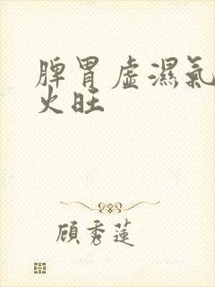 脾胃虚湿气重肝火旺