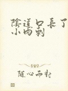 阴道口长了一些小肉刺