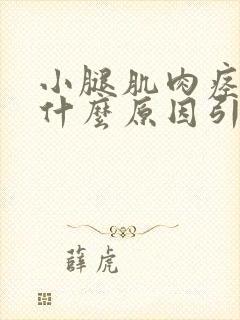 小腿肌肉痉挛是什么原因引起的