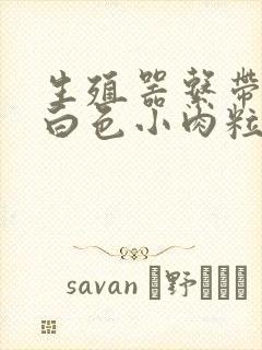 生殖器系带处有白色小肉粒