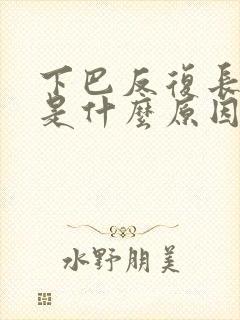 下巴反复长痤疮是什么原因引起的