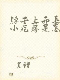 脖子上面长很多小疙瘩是怎么回事