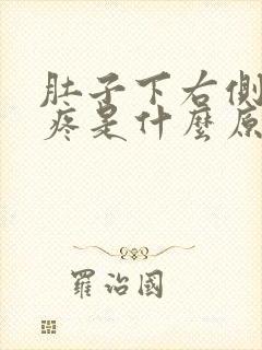 肚子下右侧有点疼是什么原因