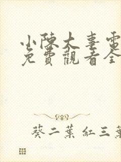 小陈大事电视剧免费观看全集