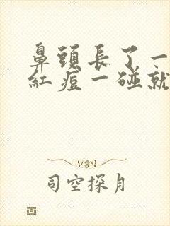 鼻头长了一个大红痘一碰就疼