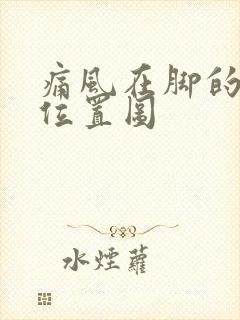 痛风在脚的哪个位置图封面