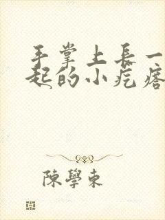 手掌上长一个凸起的小疙瘩