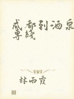 成都到酒泉货运专线封面