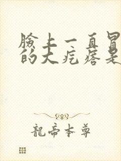 脸上一直冒红色的大疙瘩是怎么回事