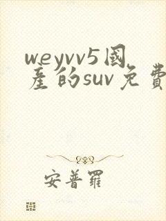weyvv5国产的suv免费
