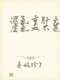 湿气重肝火旺脾虚气血不足