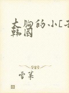 大胸的小[子2韩国封面
