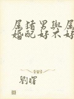 属猪男与属狗女婚配好不好