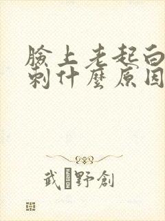 脸上老起白头粉刺什么原因