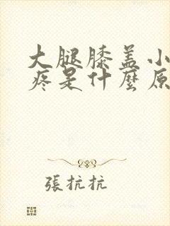 大腿膝盖小腿酸疼是什么原因封面