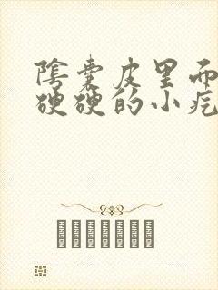 阴囊皮里面有个硬硬的小疙瘩封面