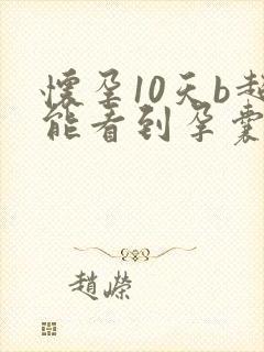 怀孕10天b超能看到孕囊吗