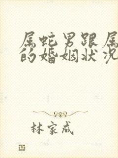 属蛇男跟属龙女的婚姻状况封面