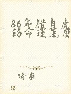 86年腊月虎女的命运怎么样