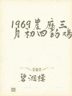 1969农历三月初四的鸡命运