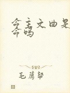 命主文曲是富贵命吗