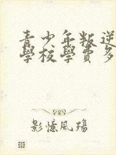 青少年叛逆特训学校学费多少