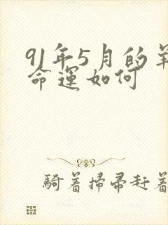 91年5月的羊命运如何封面