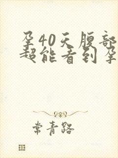 孕40天腹部b超能看到孕囊吗封面