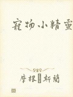 宠物小精灵漫画