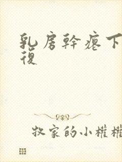 乳房干瘪下垂修复