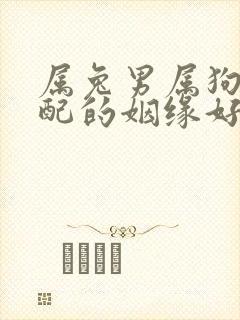 属兔男属狗女相配的姻缘好吗