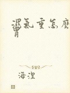 湿气重怎么调脾胃