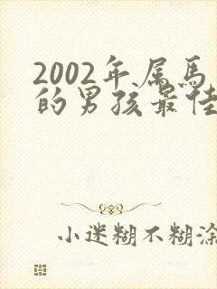 2002年属马的男孩最佳婚配封面