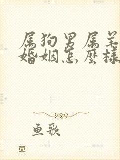 属狗男属羊女的婚姻怎么样