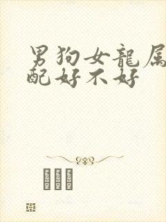 男狗女龙属相婚配好不好