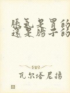 胀气是胃的问题还是肠子的问题