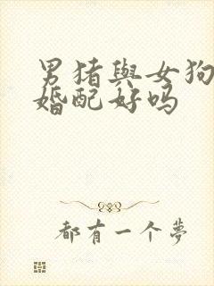 男猪与女狗属相婚配好吗封面